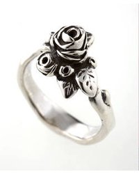 Hobart Rose